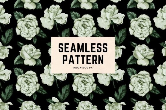 Pattern of Rose Flowers